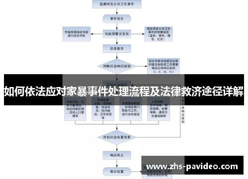 如何依法应对家暴事件处理流程及法律救济途径详解