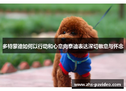 多特蒙德如何以行动和心意向泰迪表达深切敬意与怀念