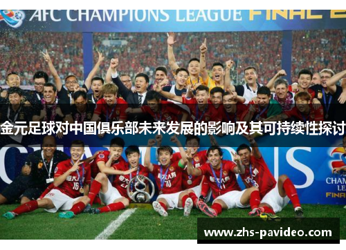 金元足球对中国俱乐部未来发展的影响及其可持续性探讨