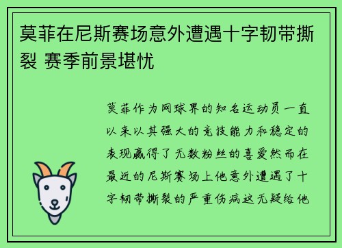莫菲在尼斯赛场意外遭遇十字韧带撕裂 赛季前景堪忧